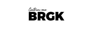 centrum bergeijk